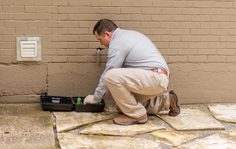 commercial-exterior-treatment romney pest control professional installing a rodent bait station
