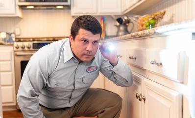 interior-pest-inspection