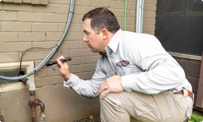 pest-entry-point-inspection