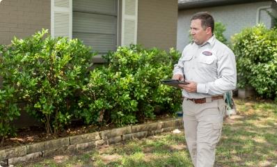 yard-inspection