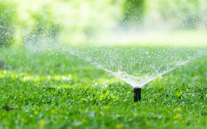 A sprinkler watering a green lawn