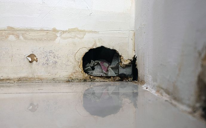 A rat entry hole in the corner of a dirty baseboard