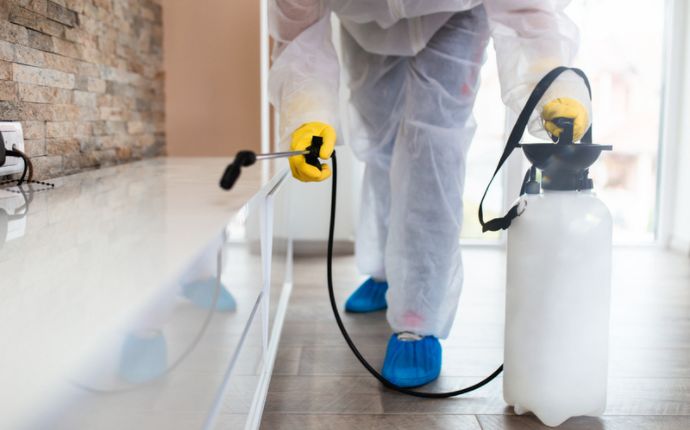A pest control professional spraying pesticides in a living room