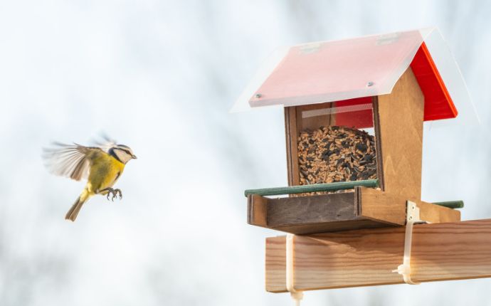 A small yellow bird flying next to a wooden bird feeder