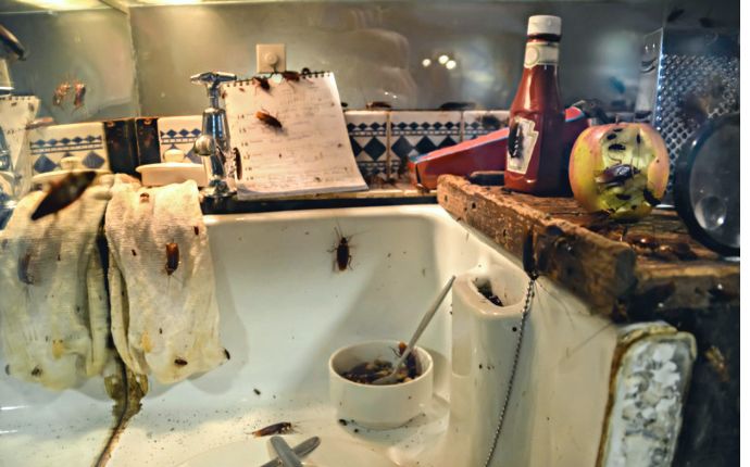 A filthy kitchen with cockroaches crawling in the sink and over decaying food