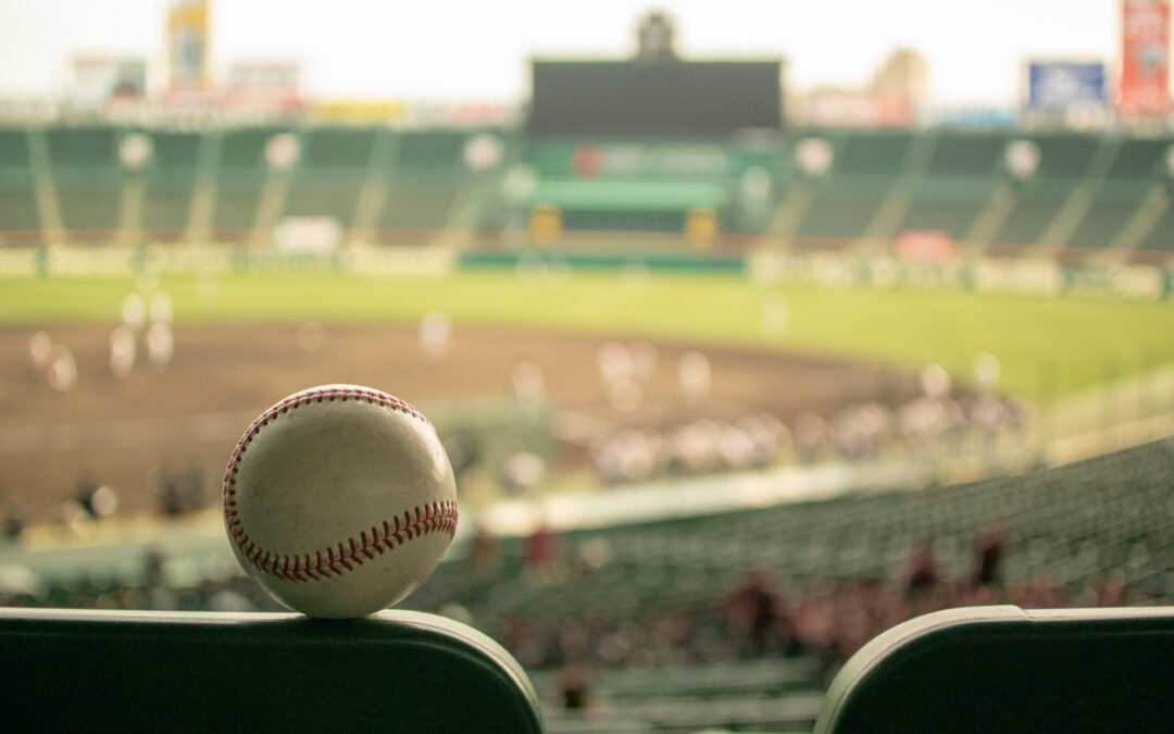 How To Avoid Pests At Summer Baseball Games