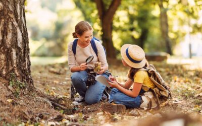 The Best Ways To Teach Kids About Pests