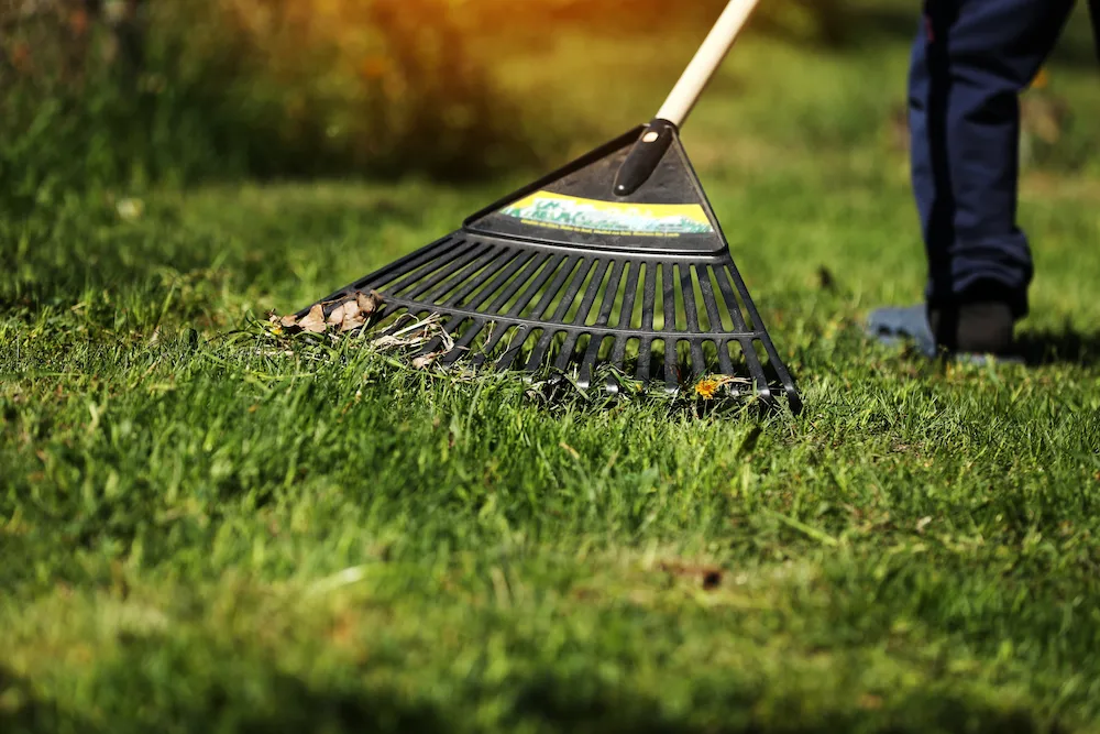 raking leaves