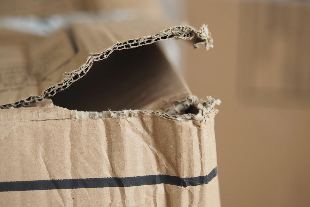 torn cardboard box