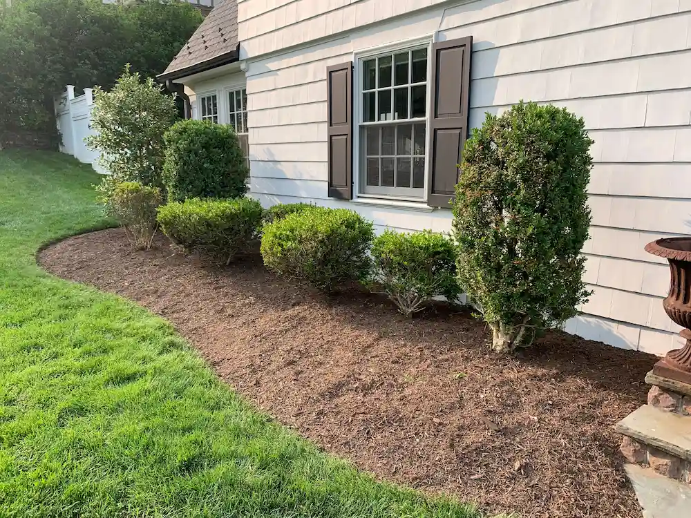 side yard with mulch