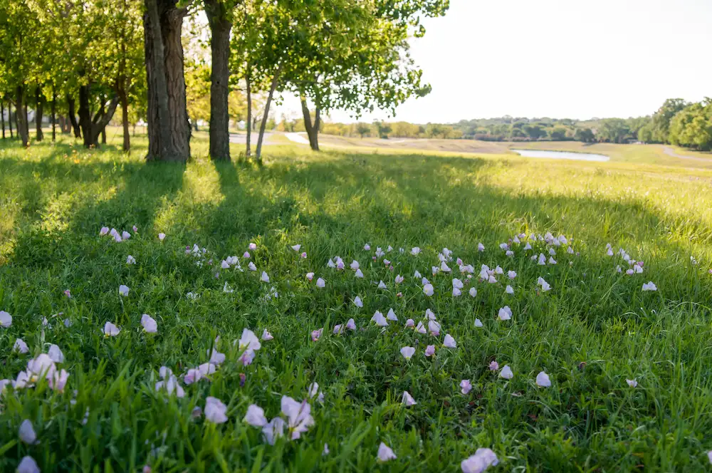The Sun’s Coming Out and So Are the Pests