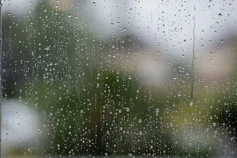 rainy window
