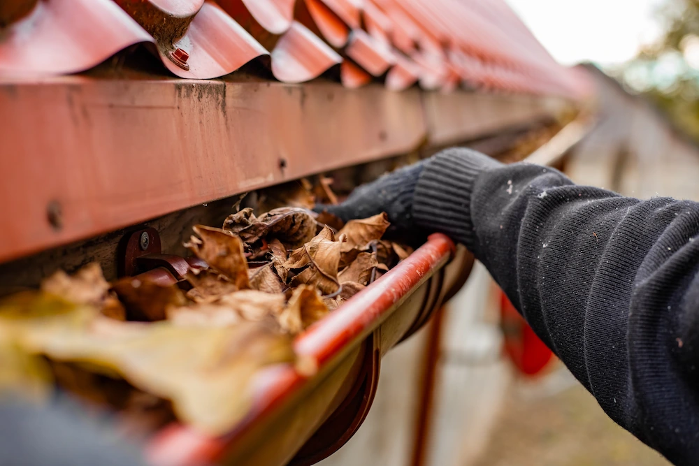 cleaning the gutter