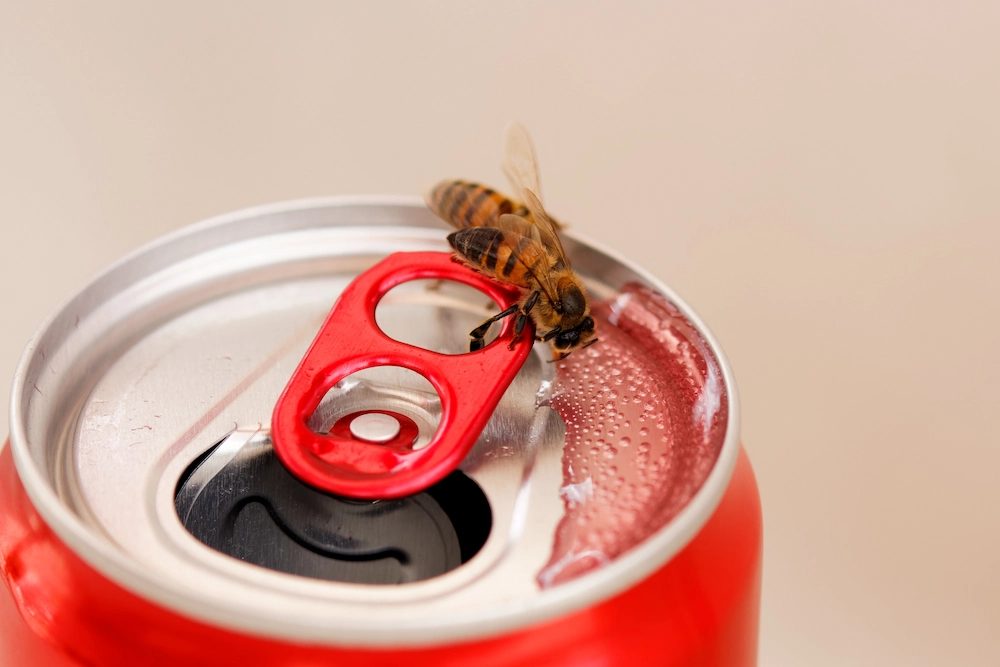 bee on can