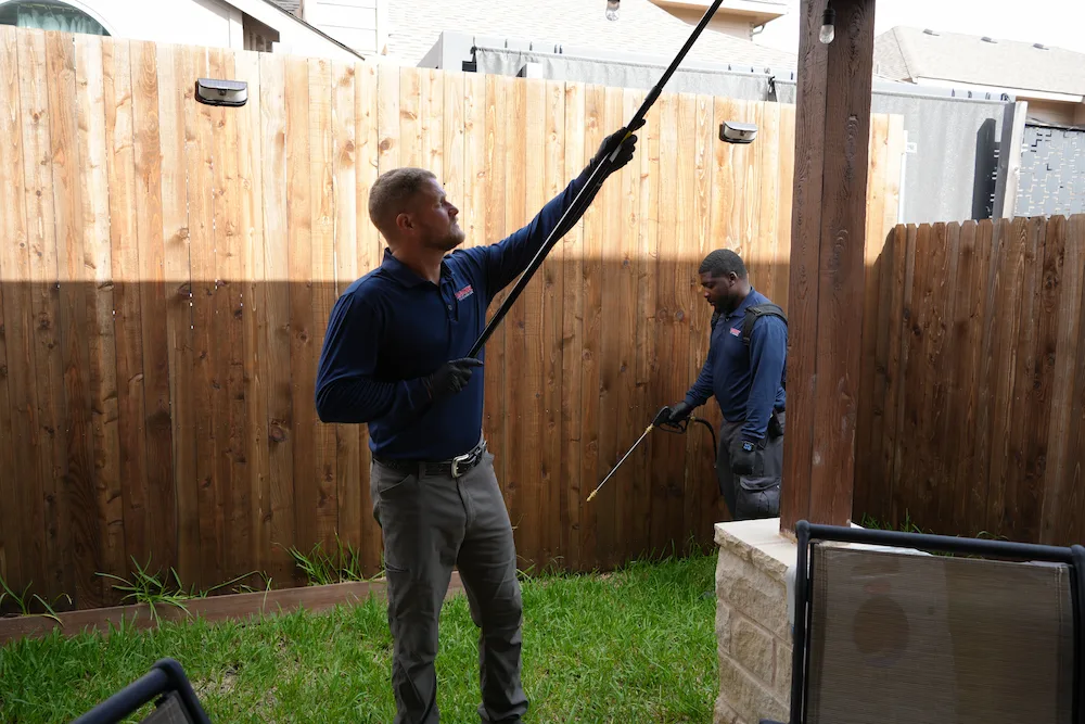 Romney Pest Control
