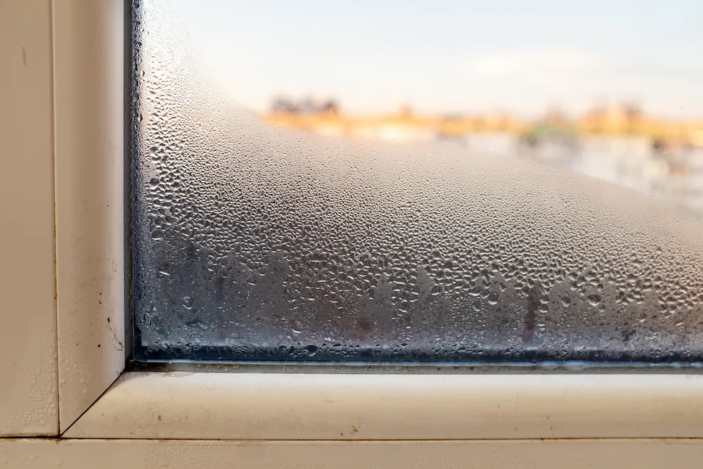 humid window