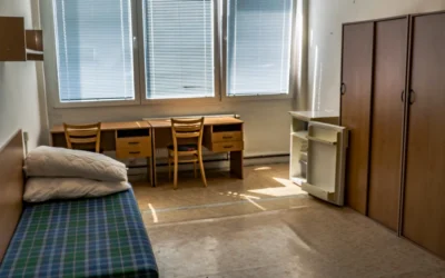 The Keys to Dorm Pest Prevention: Simple Habits for a Pest-Free Room