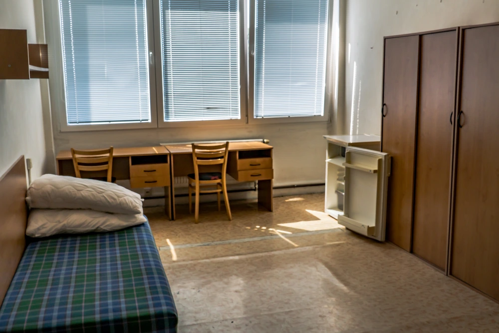 The Keys to Dorm Pest Prevention: Simple Habits for a Pest-Free Room