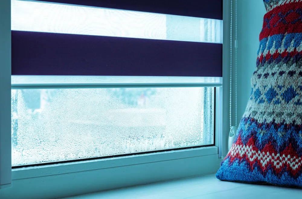 condensation on window