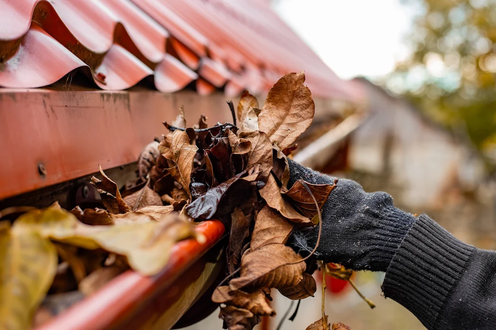clearing a clogged gutter of leaves