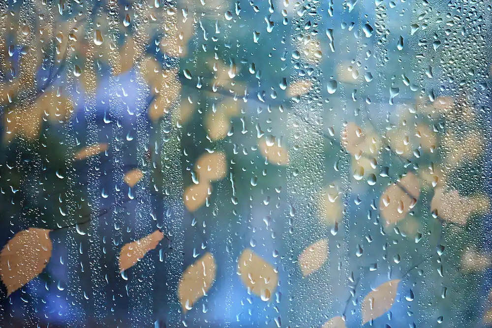 fall rain on window