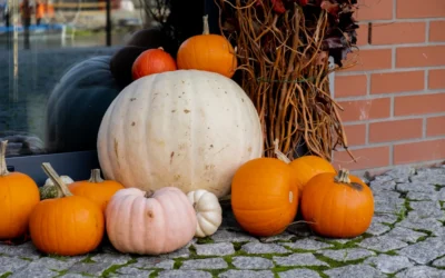 How to Protect Fall Decor and Pumpkins From Pests