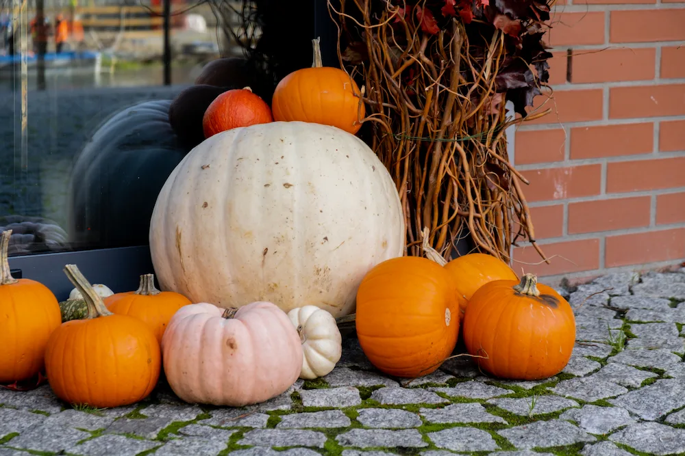 How to Protect Fall Decor and Pumpkins From Pests