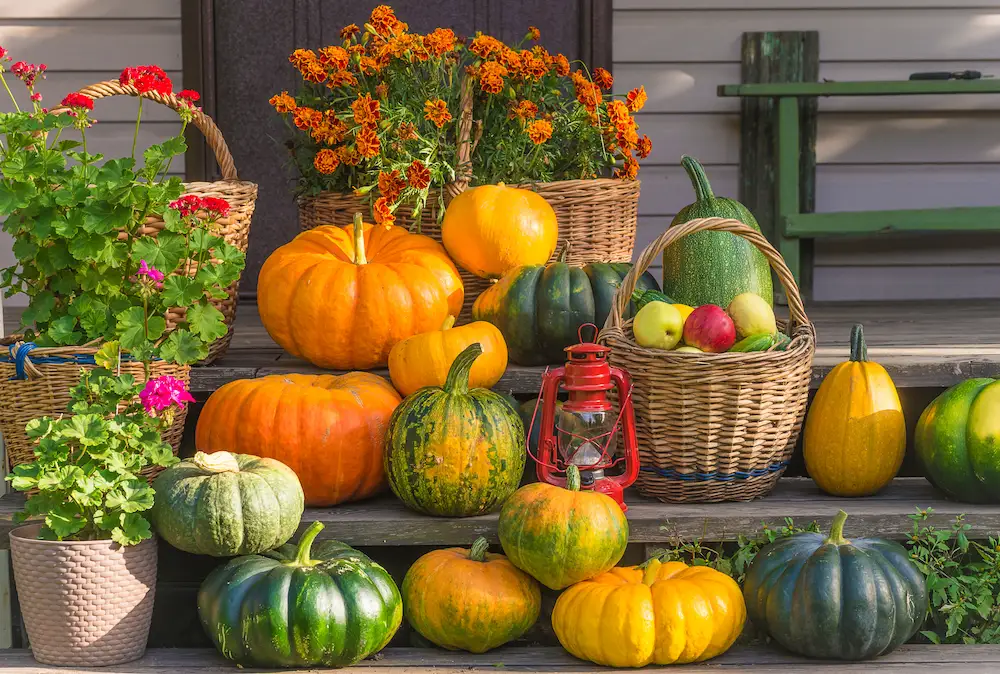 pumpkins and fall decor on porch