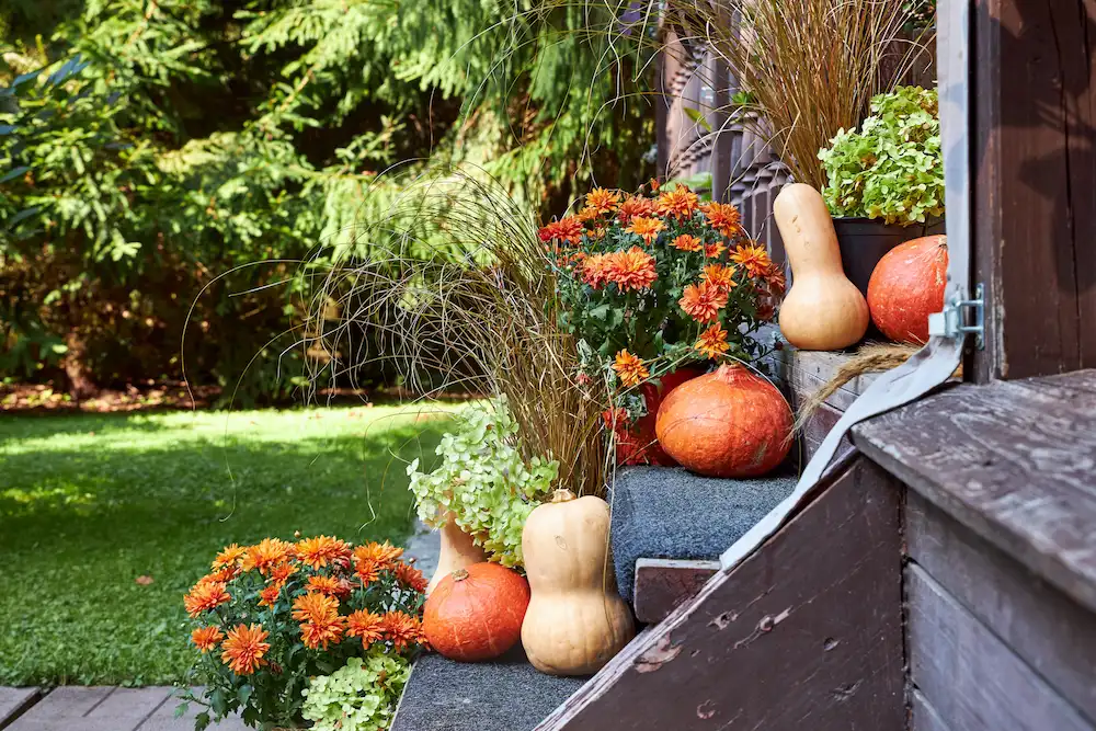 pumpkins and gourds on porch steps